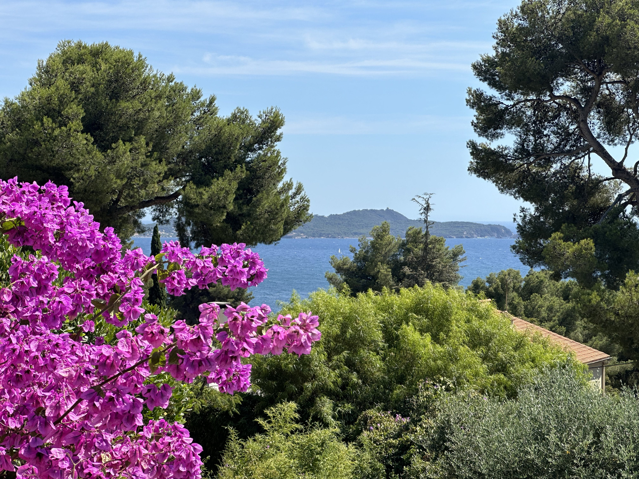 Maison-Villa - Carqueiranne 83320