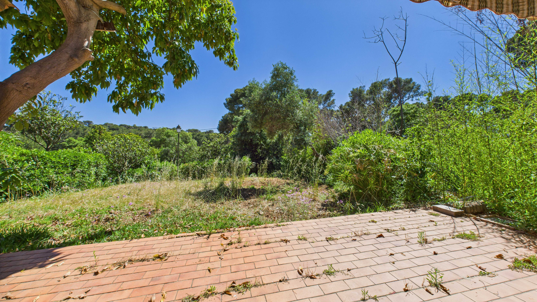 Maison-Villa - Carqueiranne 83320
