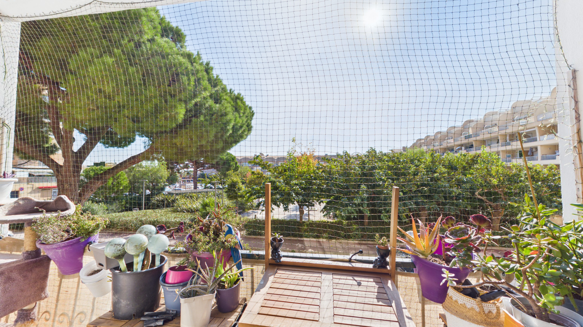 Appartement - Hyres 83400