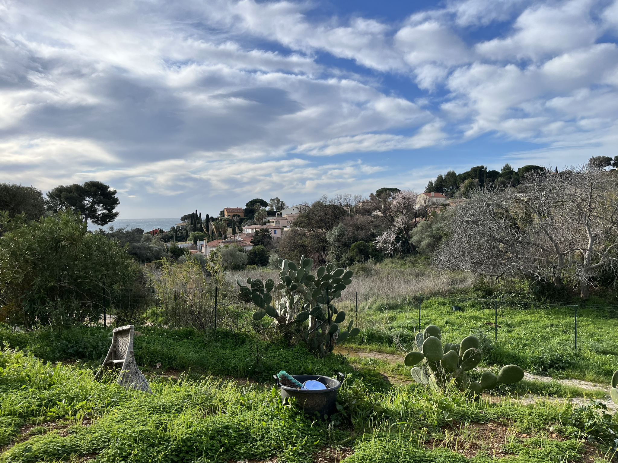 Apartment - Carqueiranne 83320